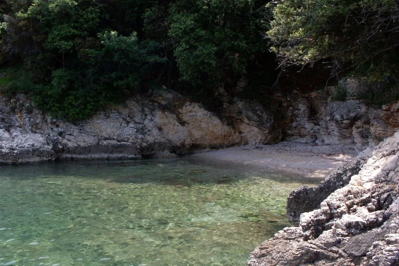 Holiday home Holiday House With A Parking Space Bartici, Labin - 22246